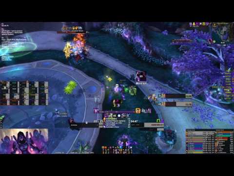 Kein Bier for Fear vs High Botanist Tel'arn Mythic - Shadow Priest PoV