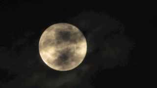 Running Up That Hill (Kate Bush / Placebo) - The Glass Child