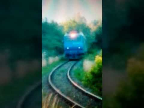 Trenuri - Trains - Zuge in Bihor. (09.07.2011).