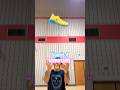 Giannis 4 Traction Test Shorts Basketball