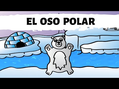 ¡Aprende 4 Maneras de Moverte con El Oso Polar y OTA El Hipopótamo! - Cantando se aprende mejor -