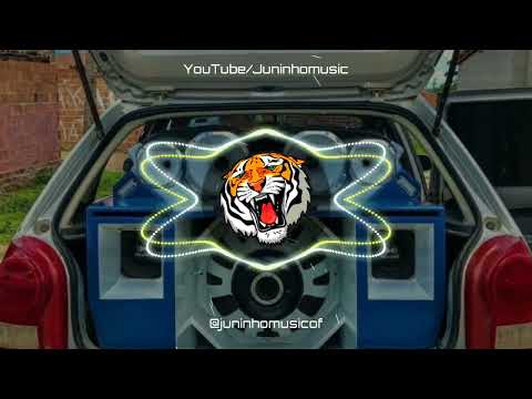 VAMOS COMEÇAR O PISEIRO - LEOZINHO PISADINHA