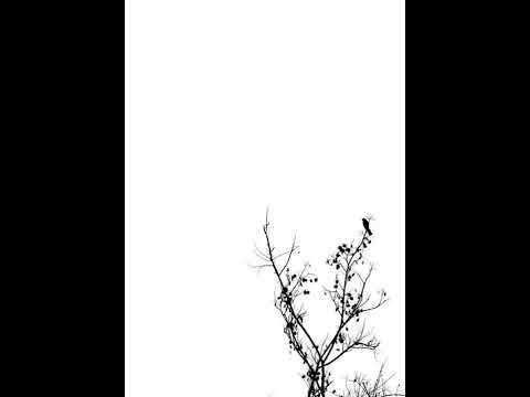 Joep Beving - Dervish