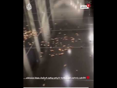 ناشطون يتسللون لفندق إقامة نتنياهو ويلقون الحشرات بغرفة اجتماعاته