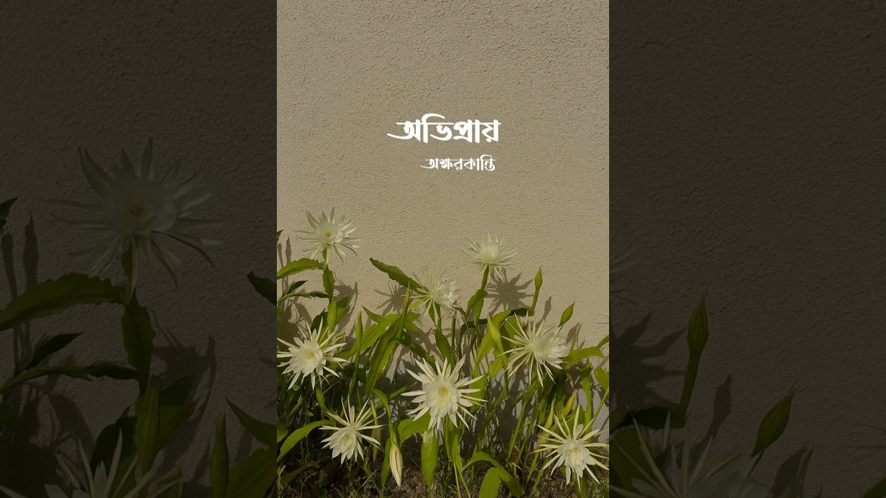 অভিপ্রায়