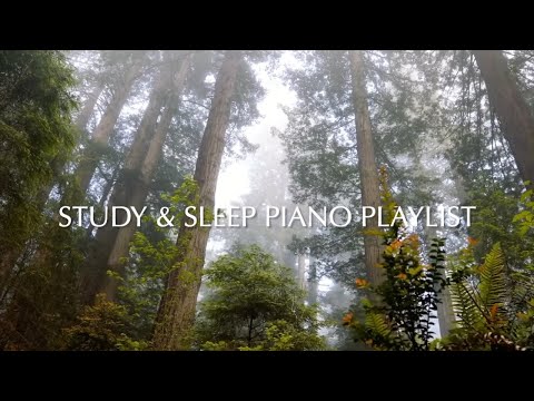 Best of Austin Farwell | Study and Sleep Playlist Mix