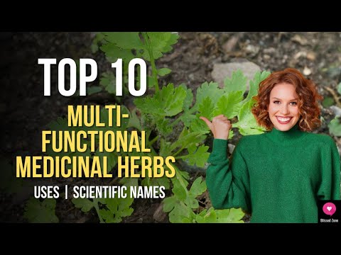 Top 10 MULTI-FUNCTIONAL Medicinal Herbs | Medicinal Plants You Can Grow At Home | BlissedZone