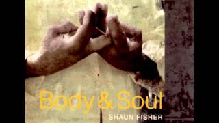 Shaun Fisher - Song For Joel