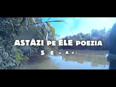 SPAM - DRUMUL (Lyric Video)