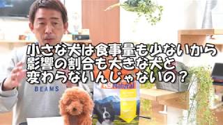 生食を与える時の注意点　【ドッグフード】