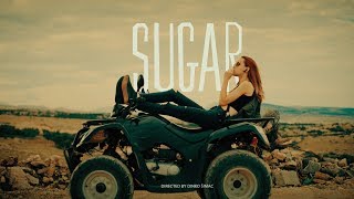 Tyger Lamb - Sugar