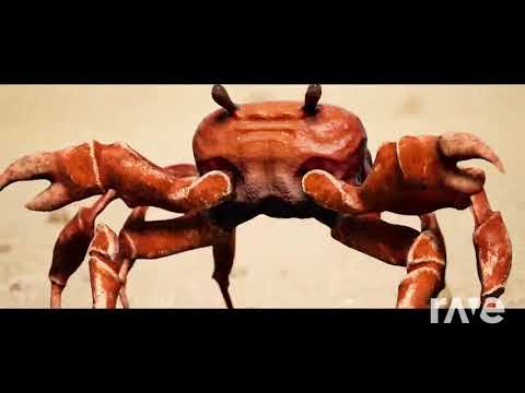 Gimn Rave - Hard Bass School & Noisestorm | RaveDj