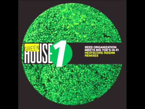 The Seed Org - Sound A Goody Goody ft. Dangerman (G31 Remix) (OUT NOW @ itunes)