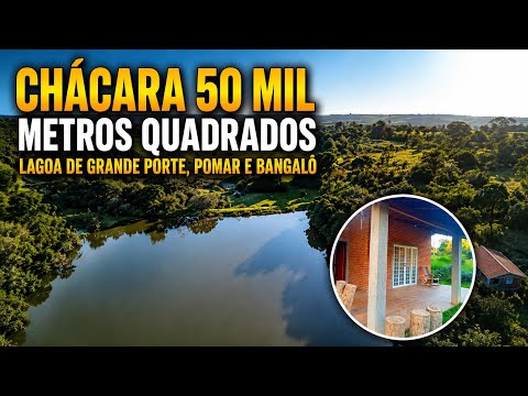 CHÁCARA 2 ALQUEIRES COM LAGOA GRANDE, POMAR E BANGALÔ EM ESPÍRITO SANTO DO PINHAL COM SUL DE MINAS