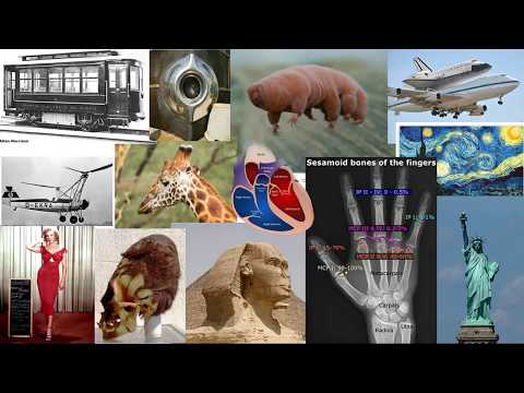 Mandela effect: Thousands of pedo Jesus Renaissance paintings come to light