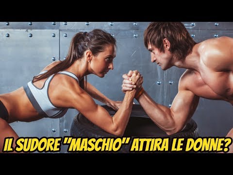 Patogeno femminile insapore Mosca Modi per aumentare la potenza