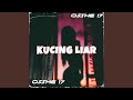 KUCING LIAR