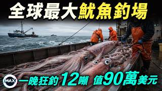 秘魯外海的全球最大魷魚漁場：671艘中國船點亮公海，2米5巨魷一晚釣上12噸！最終變成90萬美元生意，你吃的魷魚圈就來自這裡! 【Max解構世界】