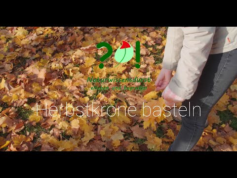 Herbstkrone basteln | Naturwissensdurst