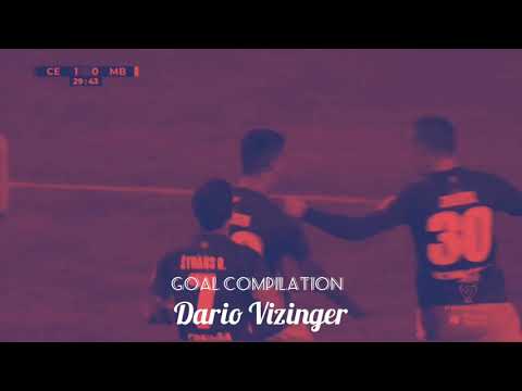 DARIO VIZINGER 🇭🇷 | Goal compilation - #29 striker of NK Celje