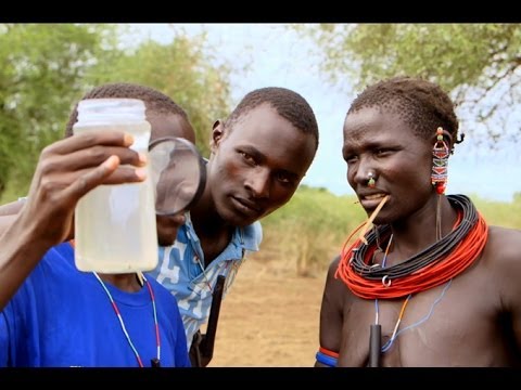 Lifelines - How To Slay A Dragon