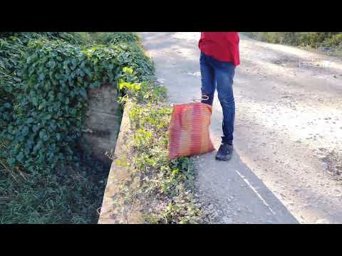 Paisajes de peten Guatemala 🇬🇹🇱🇷