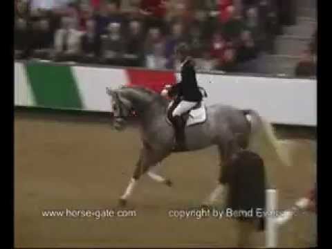 Gut Neuenhof Cristallo I VTV Championat 2007