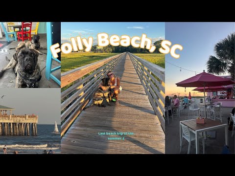 FOLLY BEACH, SC | Family Trip To The Cutest Dog Friendly Beach Town!