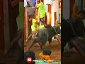 Jallikattu Mattu Pongal Special Full Screen Whatsapp Status தமிழ் Tamil