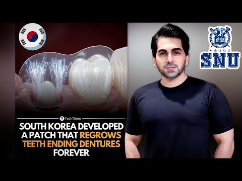 A Patch That Regrows Teeth | Korea’s Latest Medical Revolution!