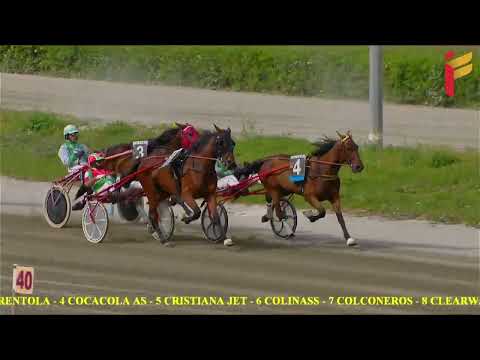 IV Corsa del 30 Aprile 2022 - 4 Anni - Metri 1600