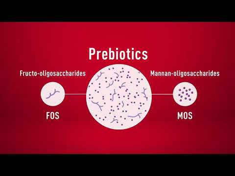 ROYAL CANIN Gastrointestinal Kitten - sausas maistas dla kociąt -2kg video
