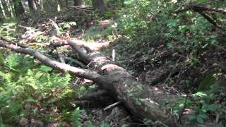 preview picture of video 'Bay Circuit Trail : Rowley MA Prospect Hill Part 3.'