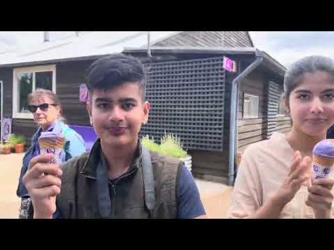 Tasmania’s Lavender Farm