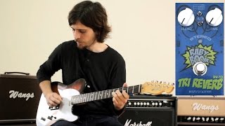 Video thumbnail for BIYANG TRI REVERB RV-10 REVIEW by LAMA INSTRUMENTS OFICIAL