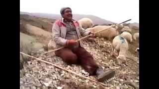 preview picture of video 'çoban abiden neşeli yansımalar'