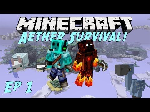 [Minecraft] Aether Survival Let's Play Ep1