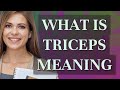 Triceps Meaning Of Triceps