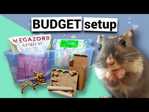 Set-up klietky pre pieskomila (Meriones unguiculatus)