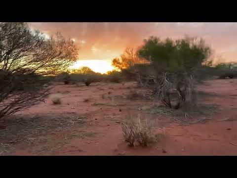 Billabong Roadhouse Meadow Western Australia Monkey Mia Shark Bay Adventure