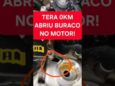 VW TERA ABRIU UM BURACO NO MOTOR COM 230KM!