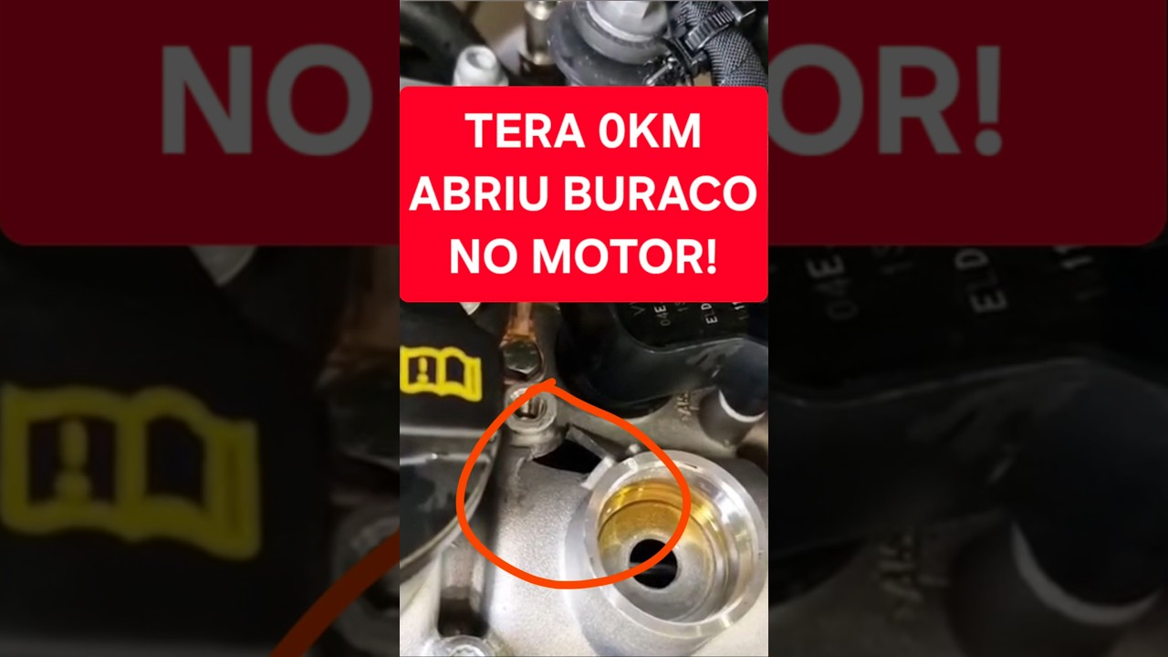 VW TERA ABRIU UM BURACO NO MOTOR COM 230KM!