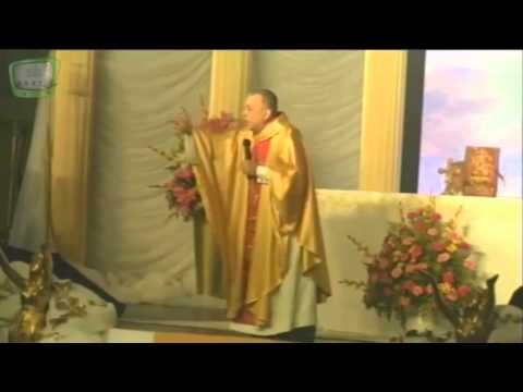 Homilia Domingo 17 de Mayo 2015