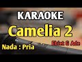 CAMELIA 2 KARAOKE NADA PRIA Ebiet G Ade Audio HQ Live Keyboard
