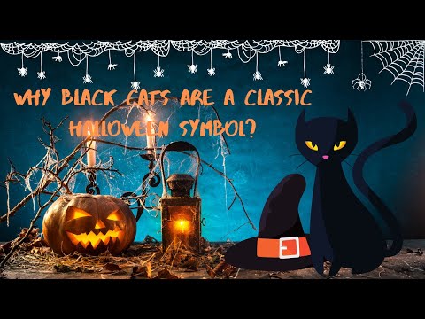 Why Black Cats Are A Classic Halloween Symbol?