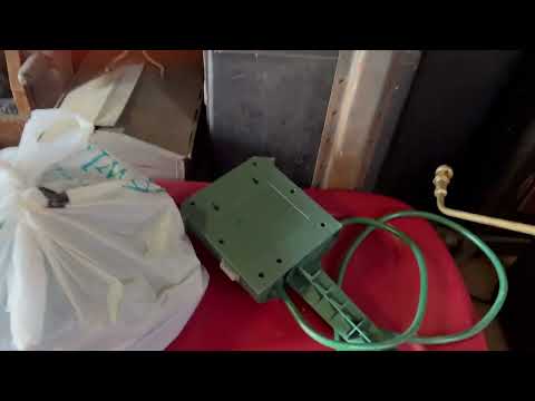 Homeowner Finds Spiders While Cleaning the Garage in New Egypt, NJ