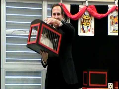 Rene Teboe (MAGIC) dove from silks, dove to rabbit