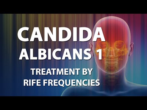 Candida albicans kenetet férfiakban édesvízi férgek paraziták