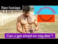 Can u get shred on veg diet ?