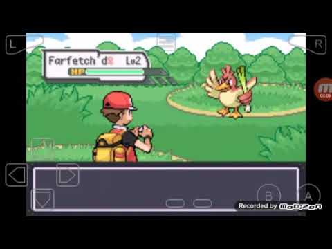 Pokemon R2 shinylocke episodio 2 consigiendo los 3 iniciales parte 1 (leer la descripcion)